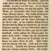 papilio w-album knoch3